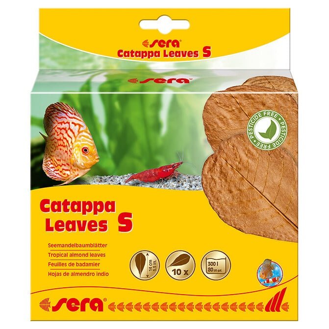 Catappa Leaves S 14 Cm 10 Pcs. Sera