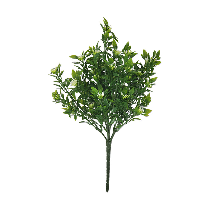 13" Apricot Blossom / Tea Leaf Mix Bush - CR Tideline Naturescapes