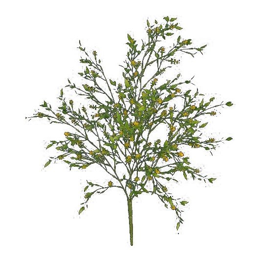 21" Hebe Leaf/Berries Bush Yellow Tideline Naturescapes