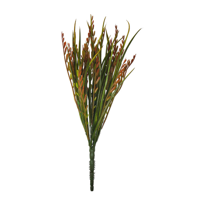 15" Mountain Grass / Iva Axillaris Bush Green/Red Tideline Naturescapes