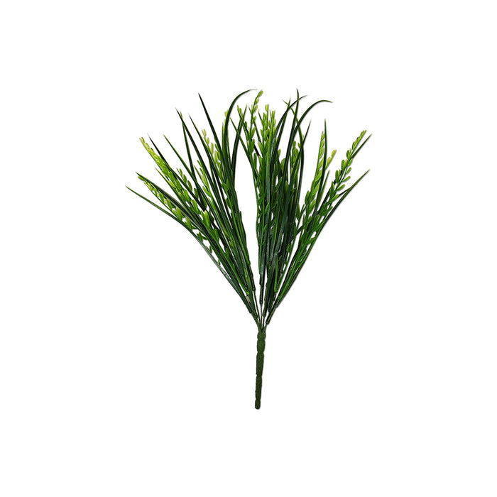 15" Mountain Grass / Iva Axillaris Bush Green Tideline Naturescapes