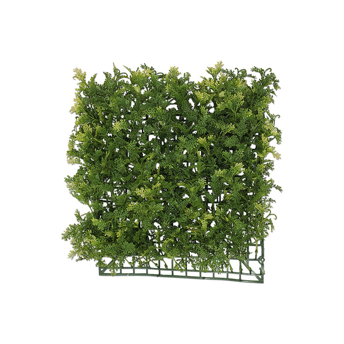 11.5" Hanging Selaginella Mat Tideline Naturescapes