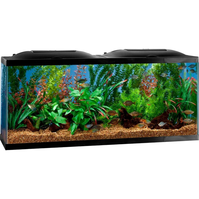 BIO-Wheel LED Aquarium Kit 55 Marineland