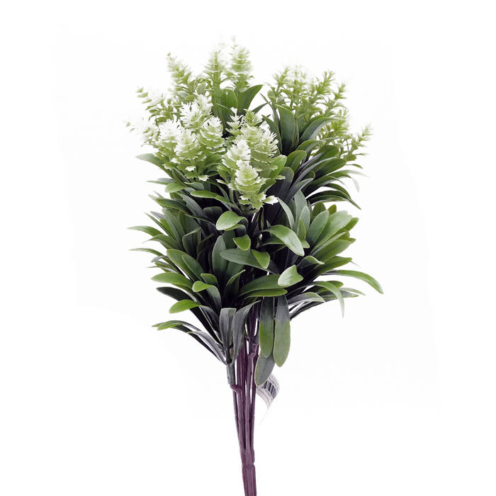 14" Bluebell Amaranth Mini - WHITE Tideline Naturescapes