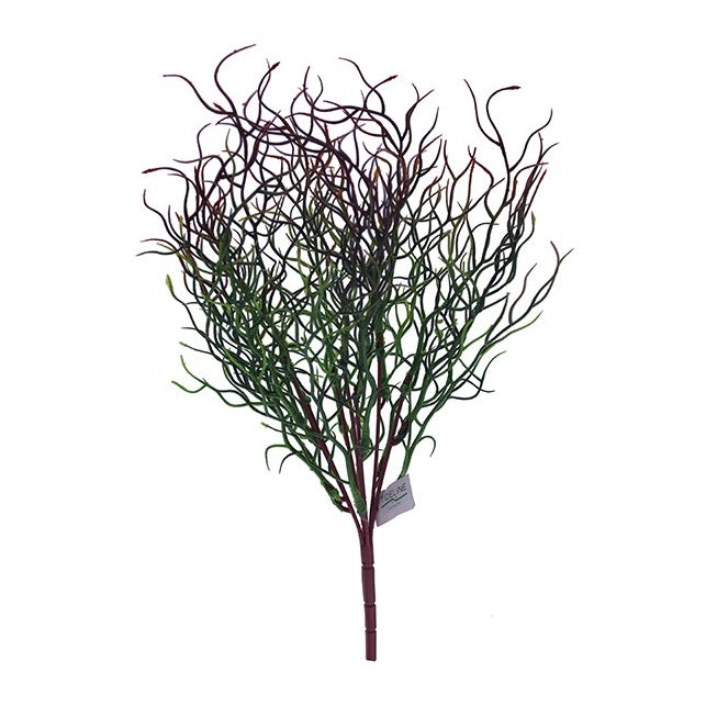 12" Willow Weed - Purple Tideline Naturescapes