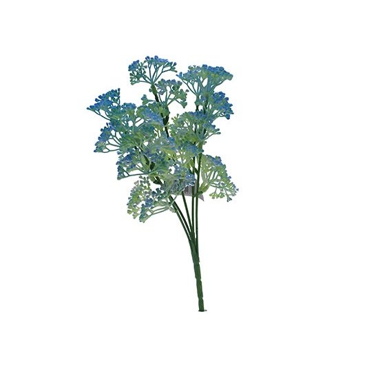 12" Queen Annes Lace - Blue Tideline Naturescapes