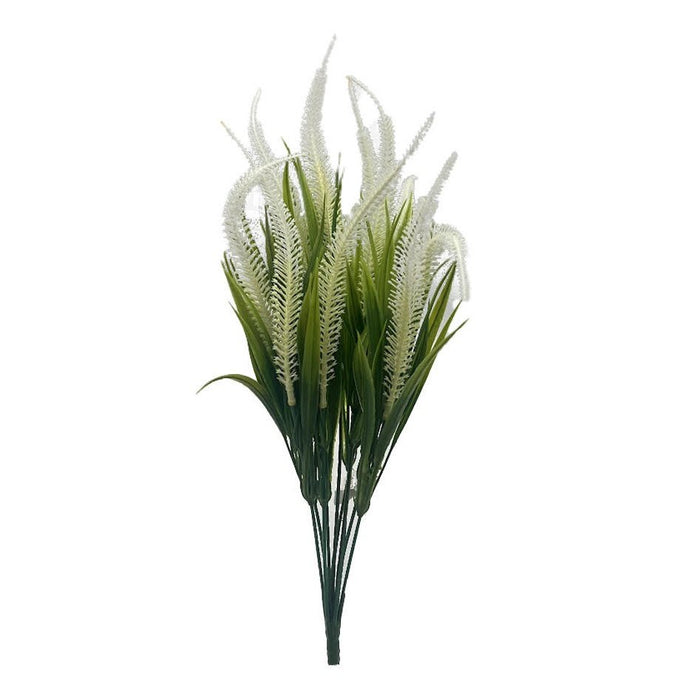 16" Tall Amaranth Grass - CREAM Tideline Naturescapes