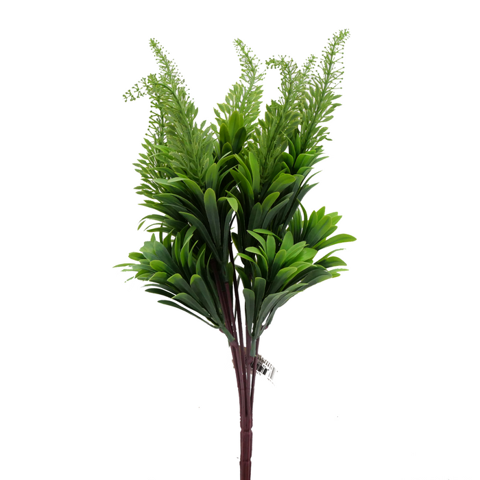 14" Bluebell Amaranth Medium - WHITE Tideline Naturescapes