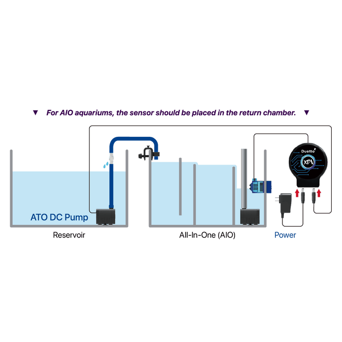 Duetto 2 ATO System XP Aqua