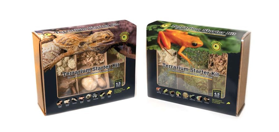 Galapagos Arid Environment Terrarium Starter Kit 1ea