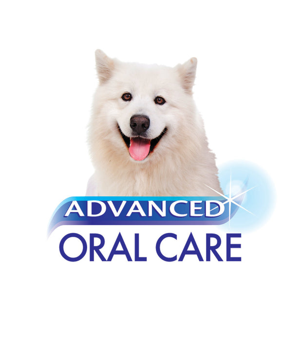 Nylabone Advanced Oral Care Natural Toothpaste Peanut Flavor, 1ea/2.5 oz