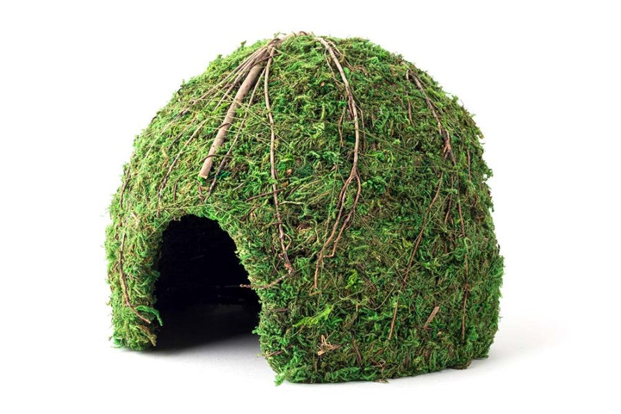 Galapagos Mossy Dome Terrarium Hideaway Fresh Green, 1ea/9 in