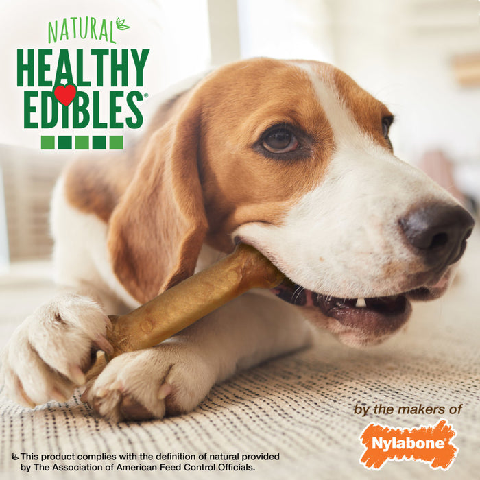 Nylabone Healthy Edibles All-Natural Long Lasting Bacon Flavor Chew Treats 1ea/Medium - Up To 30 lb