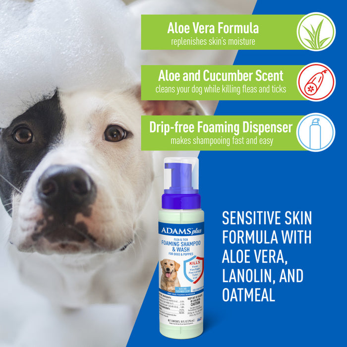 Adams Plus Flea & Tick Foaming Shampoo & Wash for Dogs & Puppies 1ea/10 oz