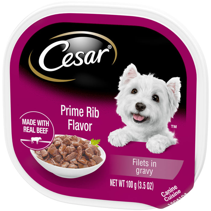 Cesar Filets in Gravy Adult Wet Dog Food Prime Rib, 24ea/3.5 oz, 24 pk