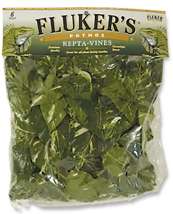 Fluker's Pothos Repta-Vines Green, 1ea/6 ft