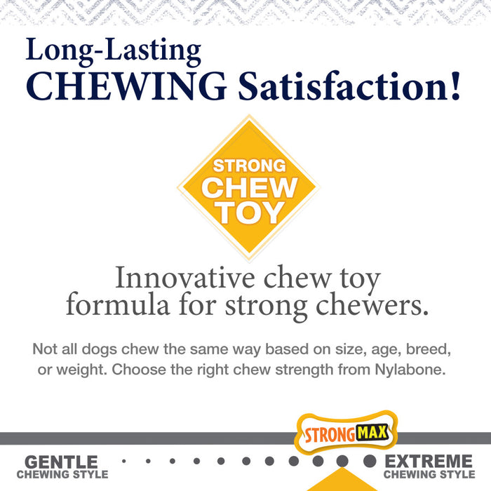 Nylabone Gourmet Style Strong Chew Wishbone Dog Toy Chicken, 1ea/SMall - Up To 25 lb