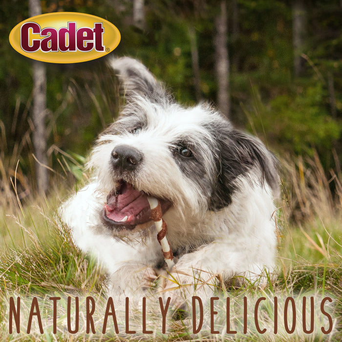 Cadet Gourmet Beef Hide & Duck Dog Twist Sticks Beef Hide & Duck, 1ea/5 In. (50 ct)