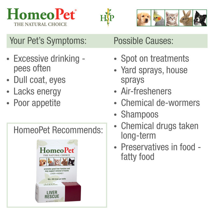 HomeoPet Liver Rescue 1ea/15 ml