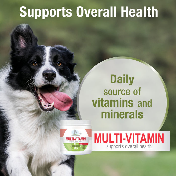 Four Paws Healthy Promise Dog Multivitamin Soft Chews Multivitamin, 1ea/120 ct