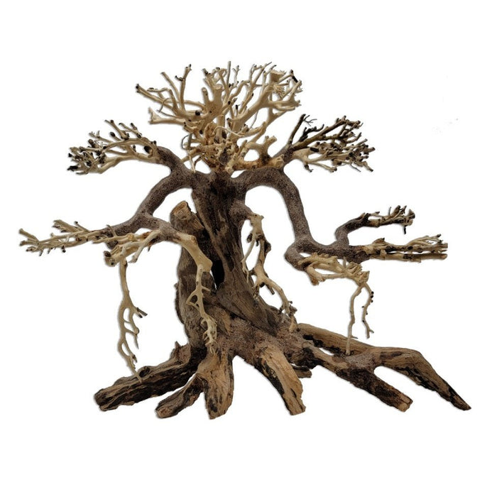 Savanna Bonsai XL by Tideline