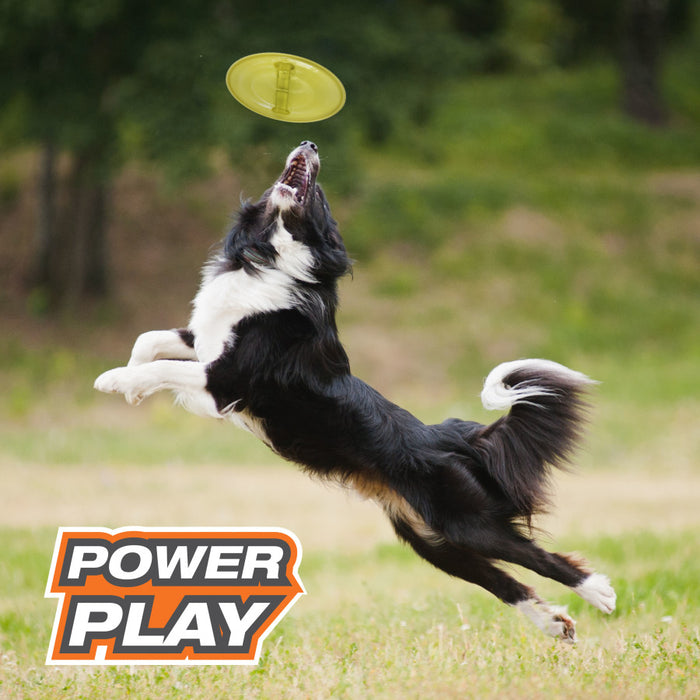 Nylabone Power Play Ultra Glider Gripz Dog Flying Disc 1ea/Large