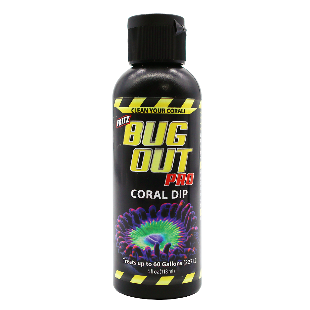 Bug Out Coral Dip 4oz — Central PetSmart