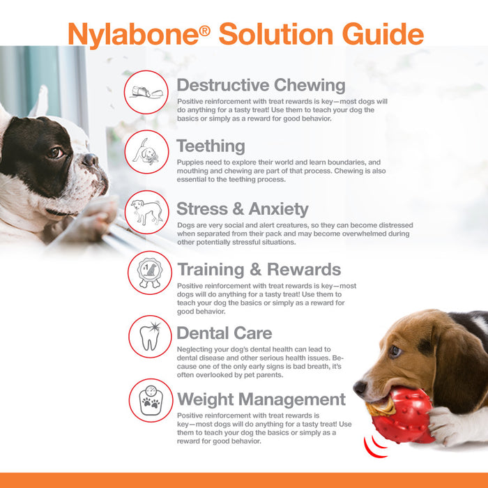 Nylabone Antler Alternative Power Chew Dog Toy 1ea/Medium - Up To 35 lb