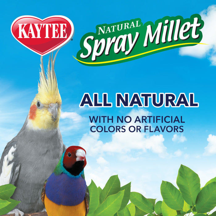 Copy of Kaytee Spray Millet for Birds 1ea/3 oz 3PK