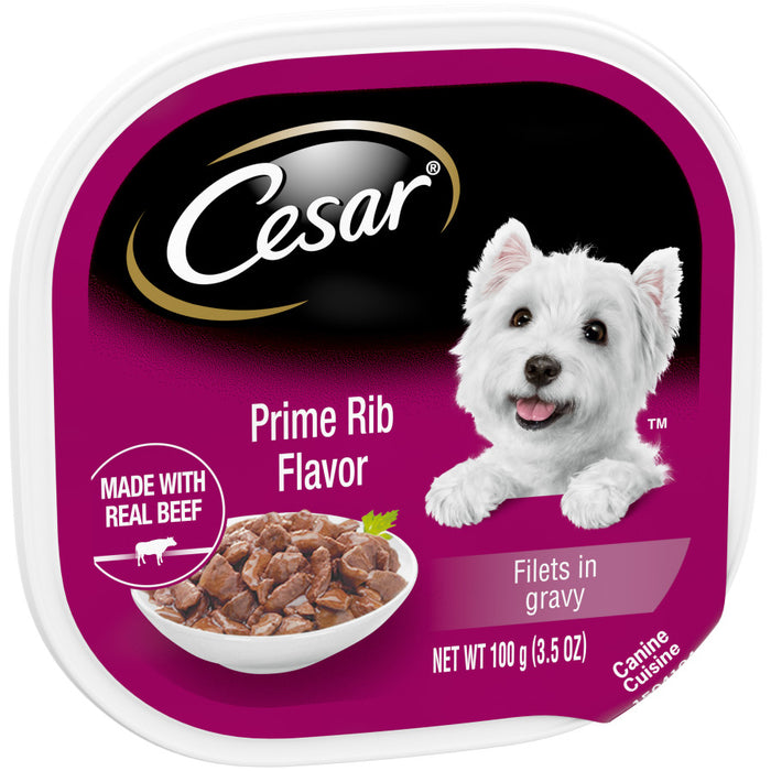 Cesar Filets in Gravy Adult Wet Dog Food Prime Rib, 24ea/3.5 oz, 24 pk