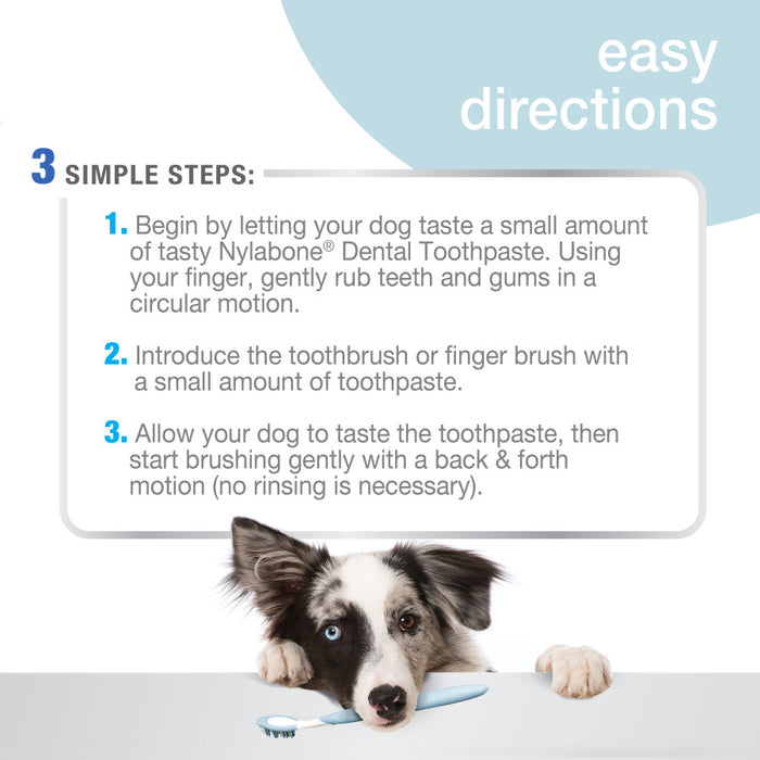 Nylabone Advanced Oral Care Dog Dental Kit Original, 1ea/3 ct