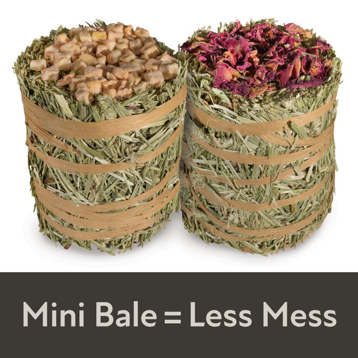 Kaytee Field+Forest Mini Hay Bales Apple and Rose 2 Pack, 1ea/7 oz