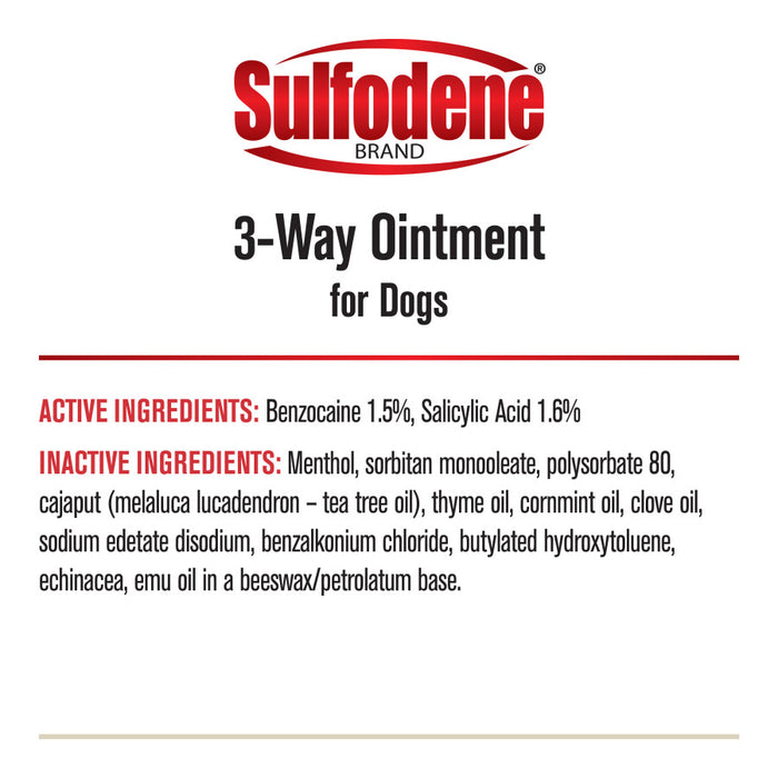 Sulfodene Wound Care Ointment 1ea/2 oz