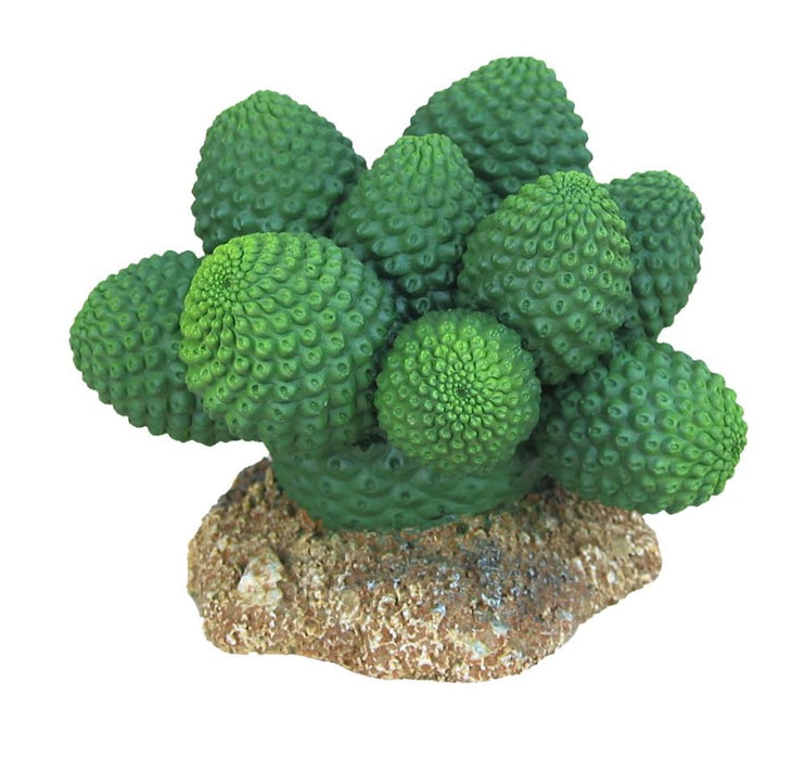 Weco Products Wecorama Badlands Pointed Sonoran Cactus Terrarium Ornament Brown, Green, 1ea/3 in