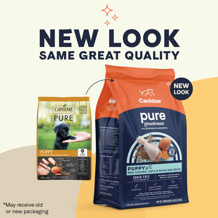 CANIDAE PURE Goodness Grain-Free LID Dry Puppy Food Chicken, Lentil & Whole Egg, 1ea/22 lb