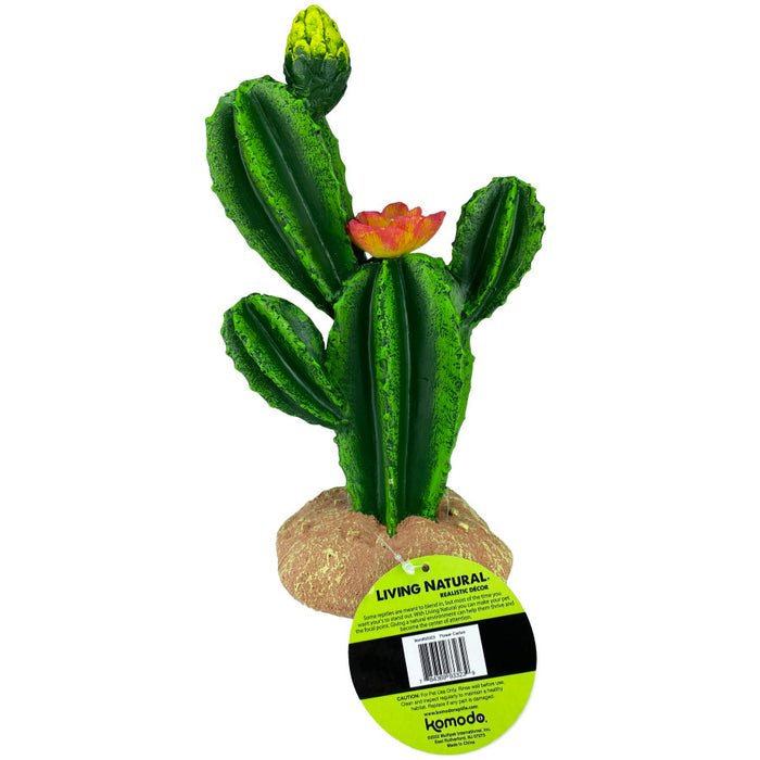 Komodo Cactus Plant Flower 1ea/9 in