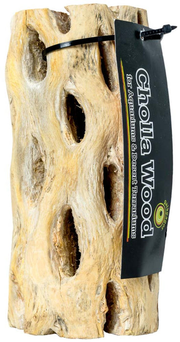 Galapagos Cactus Skeleton Cholla Wood Brown, 1ea/12 in