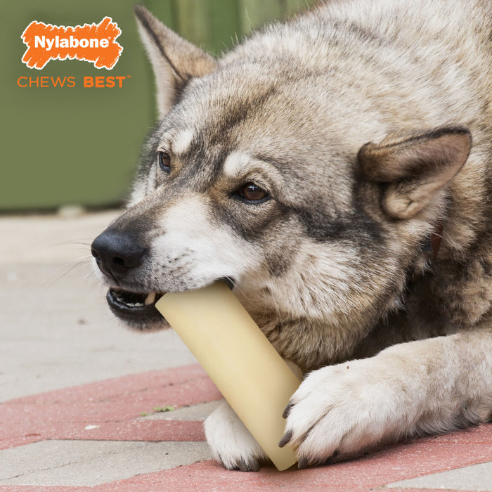 Nylabone Power Chew Giant Marrow Bone Alternative Beef Flavor Dog Chew Toy 1ea/Large - Up To 50 lb