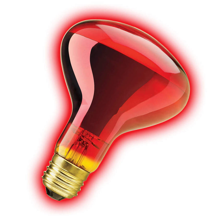 Zilla Incandescent Spot Bulbs Night Red, 1ea/50 W