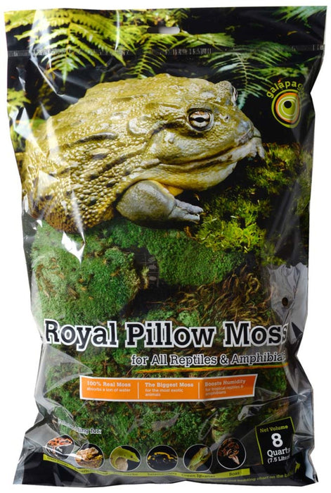 Galapagos Royal Pillow Moss for Tropical & Forest Tanks Fresh Green, 1ea/8 qt