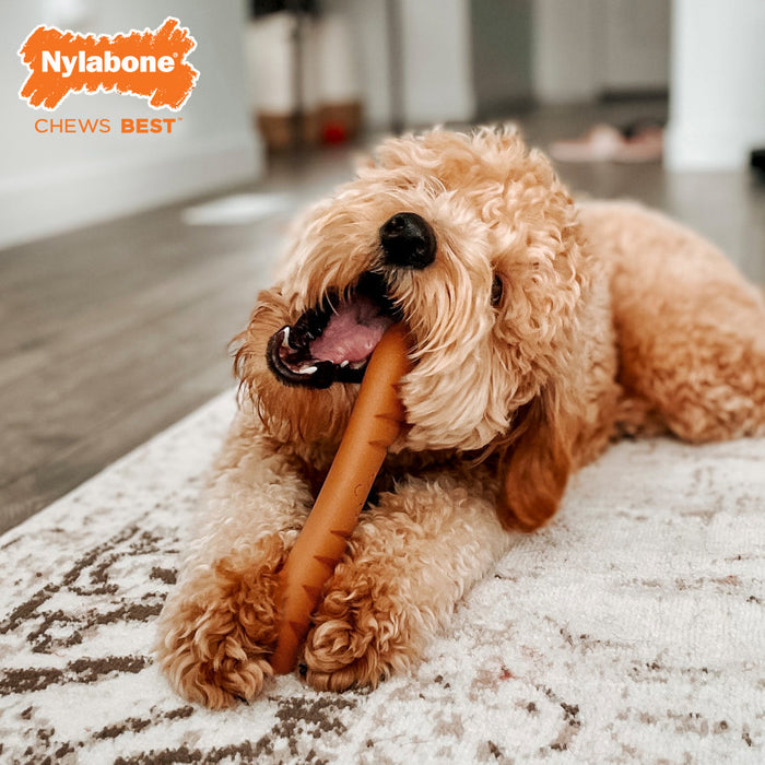 Nylabone Power Chew Baguette Dog Toy Chicken, 1ea/Large - Up To 50 lb