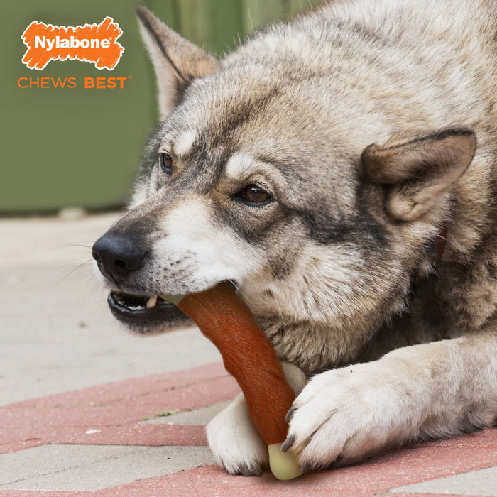 Nylabone Dura Chew Marrow Bone Alternative Dog Chew Toy 1ea/Large - Up To 50 lb