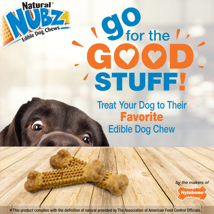 Nylabone Nubz Natural Dog Treats – Allergen-Free Peanut Butter Flavor 1ea/Large - Up To 50 lb, 15 ct