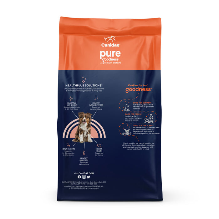 CANIDAE PURE Goodness w/Wholesome Grains Dry Dog Food Beef & Barley, 1ea/4 lb