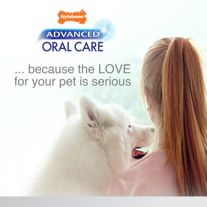 Nylabone Advanced Oral Care Natural Dog Dental Kit Peanut Butter, 1ea/3 ct