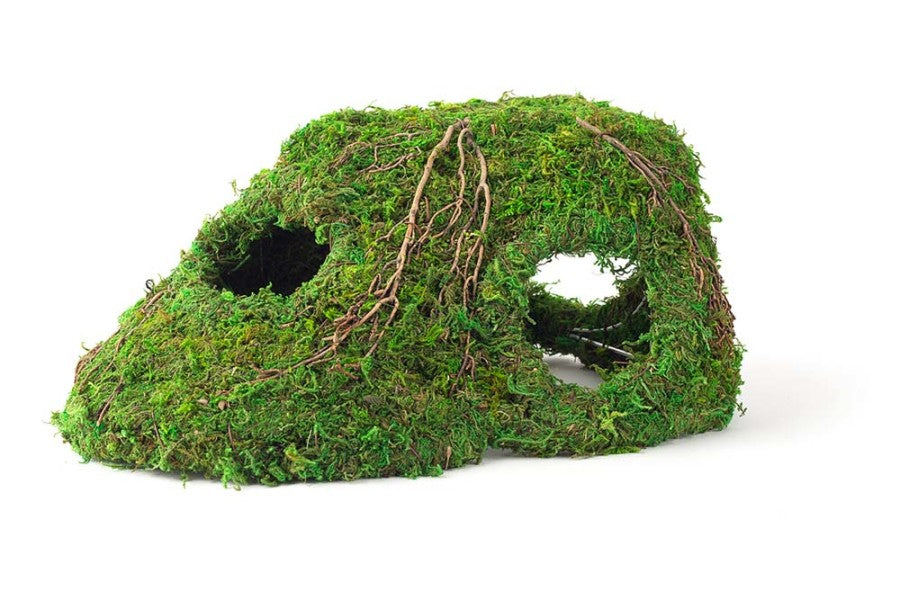 Galapagos Sapa Corner Hide Terrarium Hideaway Fresh Green, 1ea/10 in