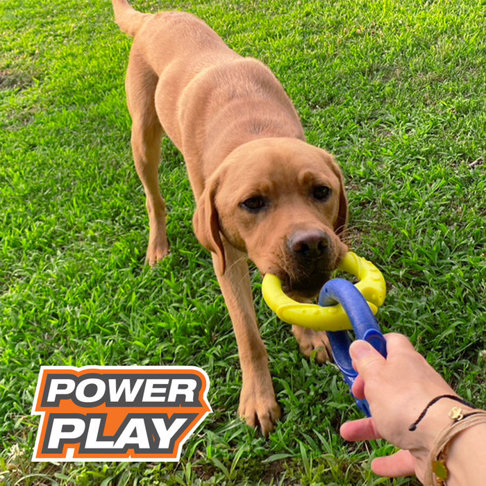 Nylabone Power Play Tug-a-Ball 2-in-1 Ball and Tug Toy for Dogs 1ea/Large