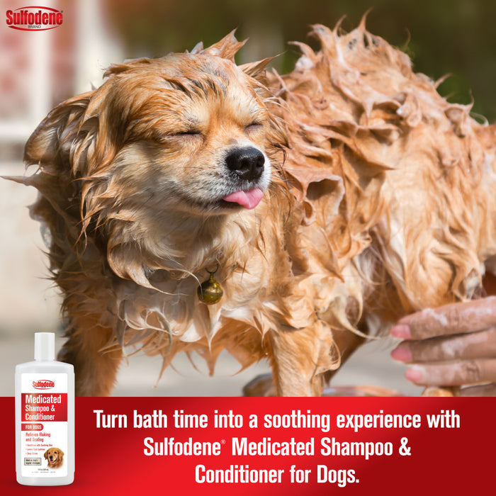 Sulfodene Medicated Shampoo & Conditioner for Dogs 1ea/12 oz