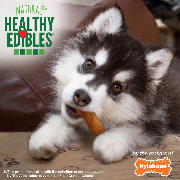 Nylabone Healthy Edibles Puppy Chew Treats Turkey & Sweet Potato, 1ea/XS - Up To 15 lb, 4 ct