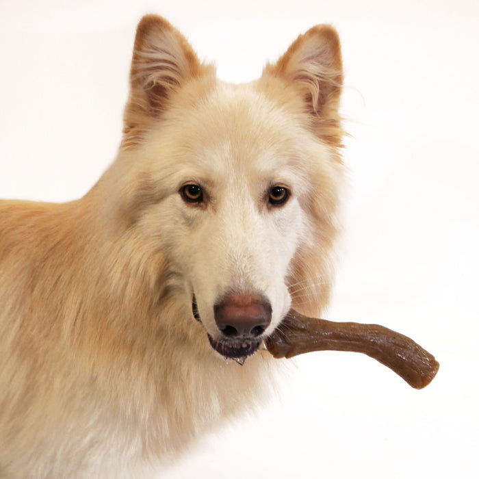 Nylabone Gourmet Style Strong Chew Stick Dog Toy 1ea/XL - 50+ lb